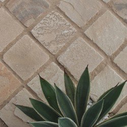 MINT SETTS