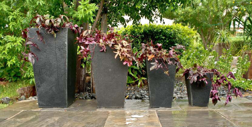 SLANTED BLACK LIME