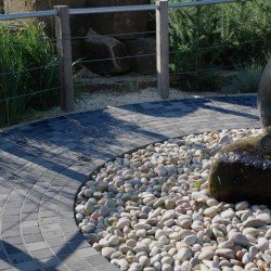 BLACK LIME SETTS