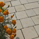 mint_swan_setts